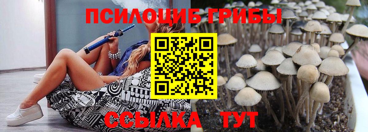 Галлюциногенные грибы MAGIC MUSHROOMS Лыткарино