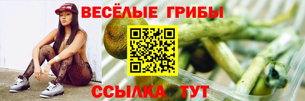 Галлюциногенные грибы Magic Shrooms  Вход с VPN  купить   Лыткарино 